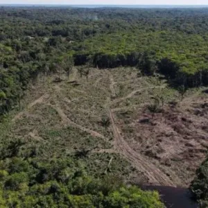 اكتشاف مدينة دفنتها غابات الأمازون بعد 2000 عام من الاختفاء.. ما القصة؟