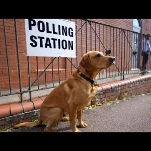 أمام مكاتب التصويت البريطانية ناخبون وكلابٌ أيضا.. مواقع التواصل تحتفي بالحدث