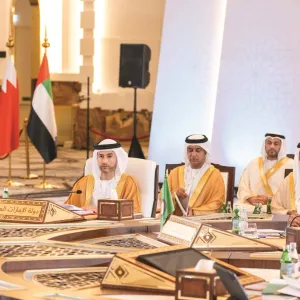 الإمارات تشارك باجتماع للجنة التعاون المالي والاقتصادي في مجلس التعاون