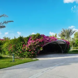 "حديقة القرآن" تحصل على الاعتماد الدولي في صون الموارد النباتية