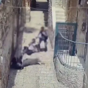 شاهد: سائح تركي ينفذ عملية طعن في القدس انتهت بقتله وإصابة شرطي إسرائيلي