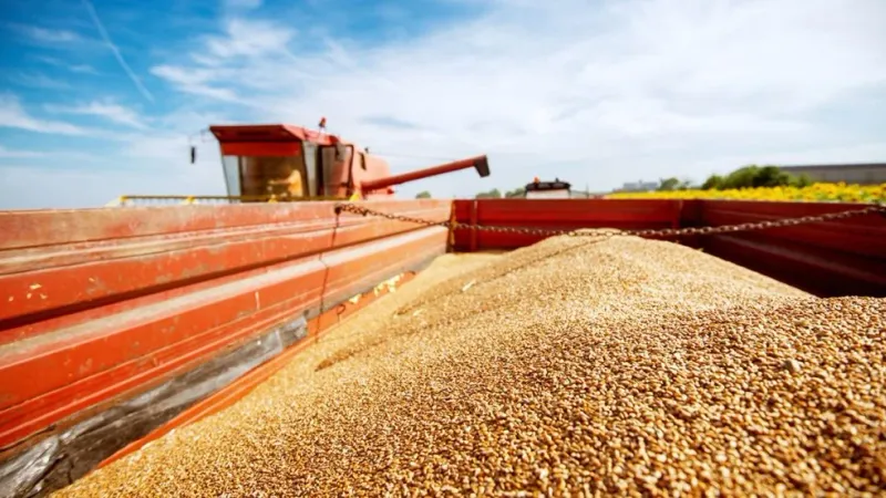 المغرب يعزز تعاونه مع روسيا في مجال الحبوب ويستورد 200 ألف طن منذ بداية العام