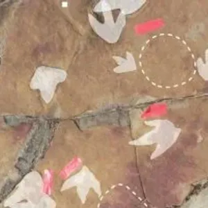 العثور على مجموعة من النقوش الصخرية بجانب آثار الديناصورات فى البرازيل