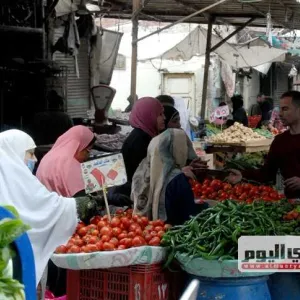 سعر الطماطم والبطاطس والخضروات بالأسواق اليوم الأربعاء 24 أبريل 2024