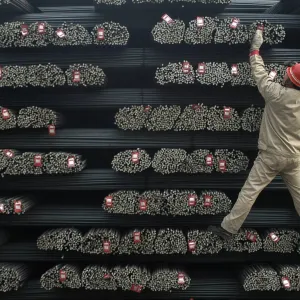 تناقض صيني: واردات خام الحديد القوية تصطدم بضعف إنتاج الفولاذ