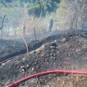 إندلاع حريق غابة بجبل سيدي رغيس في أم البواقي