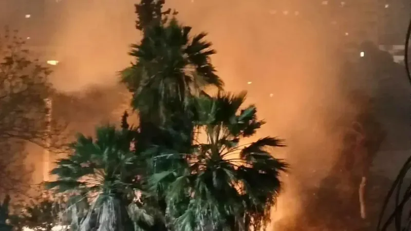 الظاهرة تتواصل.. حريق بحديقة تضم أشجارا نادرة وتاريخية بمصر