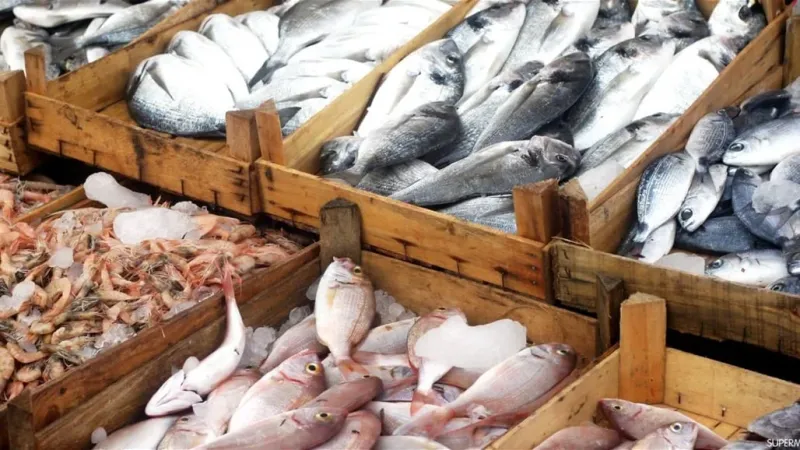 أسماك تشكل خطرا على صحة الإنسان عند تناولها