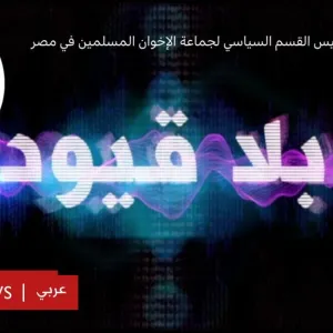 حلمي الجزار في بلا قيود: لم نقدم مبادرة جديدة ولكن نبحث عن تسوية سياسية للوضع في مصر