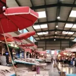 مفاجأة صادمة للتجار.. أهالي بورسعيد يقاطعون سوق السمك حتى تنخفض الأسعار