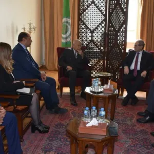 وزير الخارجية السوري يبحث مع أبو الغيط في القاهرة الأوضاع على الصعيد الإقليمي
