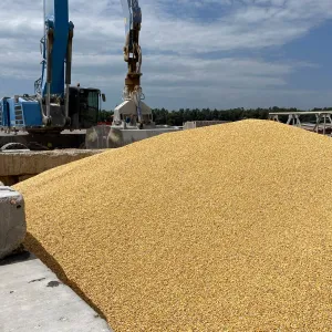 ارتفاع صادرات أوكرانيا من الحبوب في أبريل إلى 6.3 مليون طن