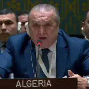 كلمة بن جامع في مجلس الأمن (فيديو)