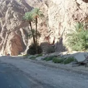 بالأسماء.. مصرع 3 أشخاص وإصابة 11 آخرين في حادث تصادم بجنوب سيناء