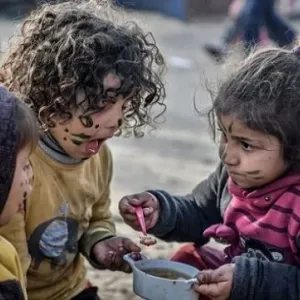 70 منظمة حقوقية تدعو إلى إعلان المجاعة رسميّا في غزة
