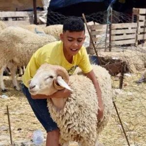فلكيا : عيد الاضحى الأحد 16 ماي في تونس