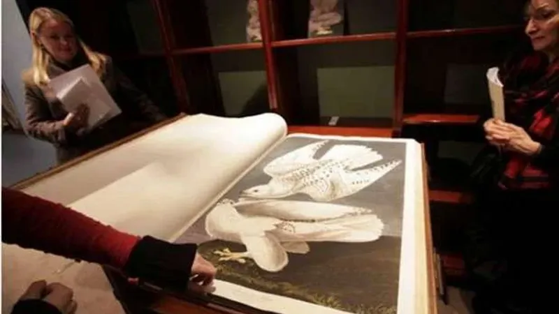 كنز ليفربول.. مصرية توثق صورا نادرة لأغلى كتاب في العالم