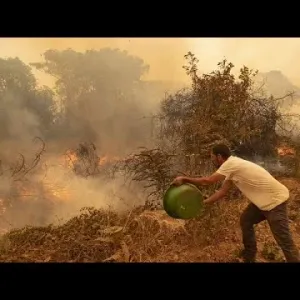 مقتل 15 شخصاً وإعلان حالة الطوارئ في 22 منطقة نتيجة الحرائق في بيرو