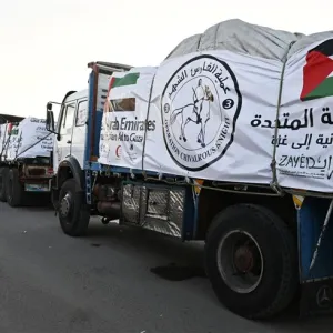 وصول سفينة إماراتية تحمل 400 طن من المعونات لدعم غزة