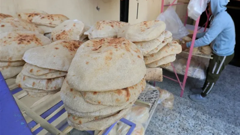 مصر تعتزم خفض أسعار الخبز غير المدعم بنسبة 40%