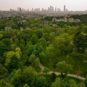 من الحدائق والغابات إلى الجزر، تُقدم إسطنبول أماكن عديدة للاستمتاع بمساحاتها الخضراء