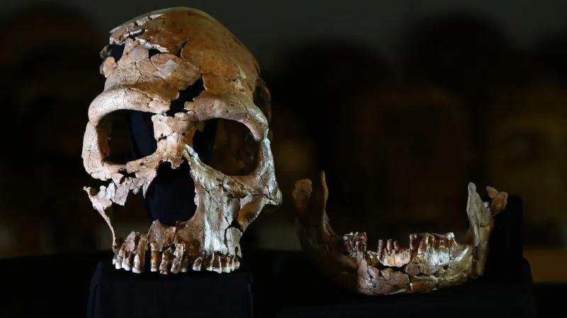 إعادة تكوين رأس ووجه امرأة عاشت قبل 75 ألف عام