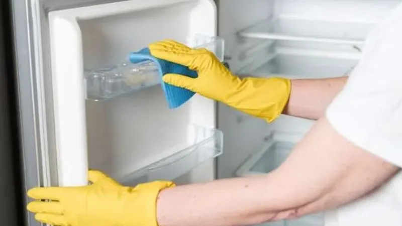 خلطة سحرية لتنظيف الثلاجة من الصراصير.. «طبيعية وآمنة على المأكولات»