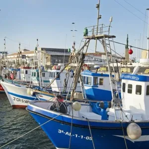 حكومة الأندلس تدعم السفن المتضررة من انتهاء "بروتوكول الصيد" مع المغرب