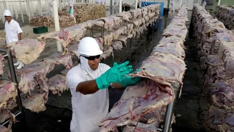 شركة برازيلية عملاقة تستثمر ملياري دولار في مزرعة دواجن ولحوم بالمملكة