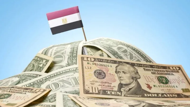 مصر تعلن جمع 767 مليون دولار من مبادرة سيارات المصريين بالخارج