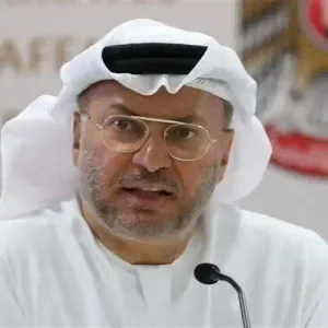 قرقاش: استخدام الفيتو ضد وقف إطلاق النار في غزة "أضاع فرصة وقف نزيف الخسائر البشرية"
