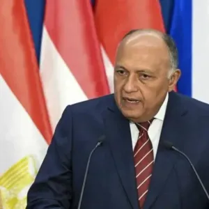 وزير الخارجية المصري: نعمل على فتح كل المعابر إلى غزة