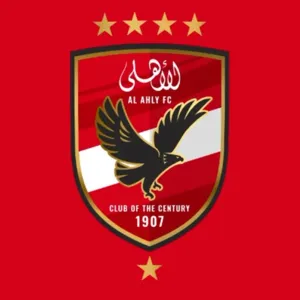 هجوم عنيف على النادي الأهلي المصري