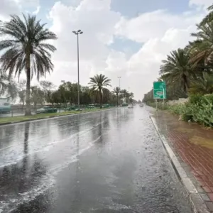 الأرصاد: هطول أمطار على المنطقة الشرقية حتى فجر الأربعاء