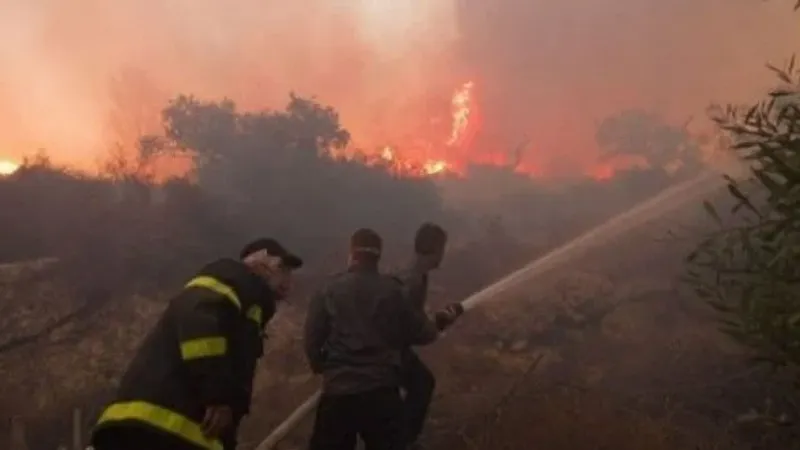 السيطرة على حريق بمساحة حوالي 02 هكتار من القمح الصلب بأرض فلاحية في هذه الولاية..