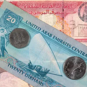 "أوبك": الإمارات تواصل تحقيق نمو قوي في قطاعاتها غير النفطية