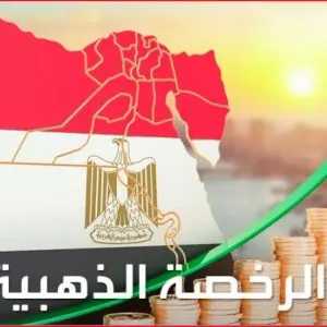أفضل حوافز استثمارية.. 4 مزايا للرخصة الذهبية في مصر