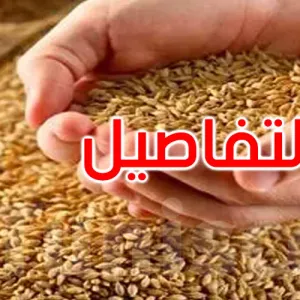 وزارة الفلاحة: ضبط برنامج لتوفير كميات من البذور الممتازة والعادية بهذه الأسعار