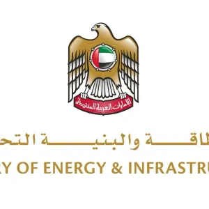 «الطاقة» تشارك في اجتماع «منصة طلبات وعروض المنتجات العربية»