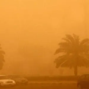 الداخلية المصرية ترفع درجات الاستعداد لمواجهة العاصفة الترابية