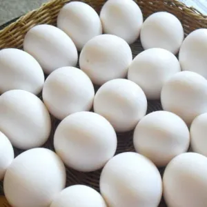 أسعار البيض اليوم الأحد 7-7-2024 في المزارع والمحلات