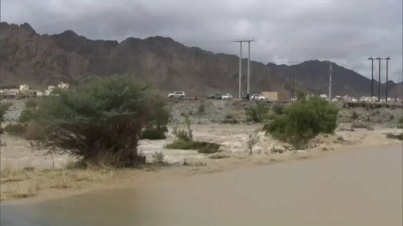 شاهد: استمرار هطول الأمطار في عدد من محافظات سلطنة عمان