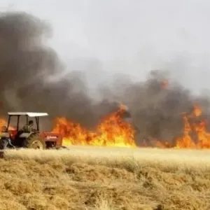 أكثر من 100 حريق يلتهم حقول الحنطة في العراق والدفاع المدني تكشف الأسباب