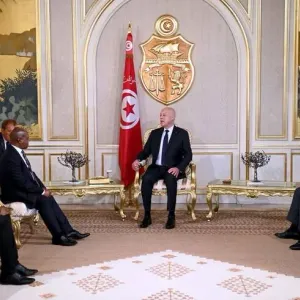 رئيس الجمهورية يلتقي سفير جنوب افريقيا بتونس بمناسبة إنتهاء مهامه