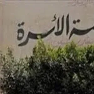 سيدة تلاحق زوجها بدعوى طلاق بعد عام من زواجهما.. اعرف التفاصيل