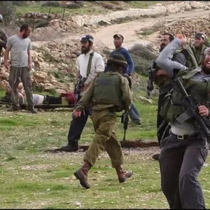 مستوطنون يهاجمون فلسطينيا بمسافر يطا جنوب الخليل