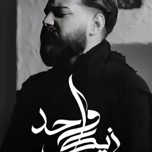 مسلم يحصد 40 ألف مشاهدة بعد ساعة من طرح «واحد زيك» سادس أغاني ألبومه (فيديو)
