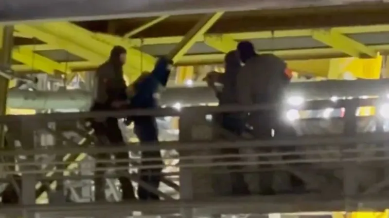 الشرطة الألمانية تكشف قصة المقنع الذي تسلق سقف ملعب دورتموند
