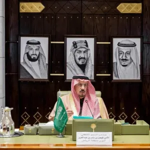 برعاية أمير منطقة الرياض.. معرض “إينا” يفتح أبوابه لدعم القطاع غير الربحي