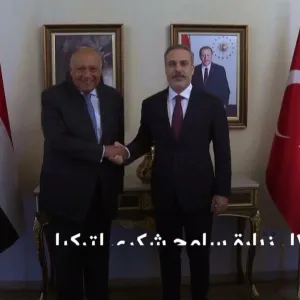 آخر مستجدات العلاقات المصرية التركية | بي بي سي نيوز عربي